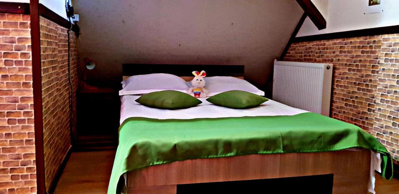 Pensiunea Micutul Vrajitor Arefu Buitenkant foto