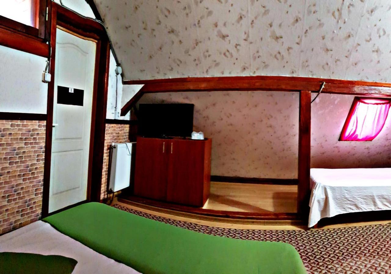 Pensiunea Micutul Vrajitor Arefu Buitenkant foto